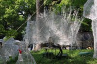 IMG_1282.JPG